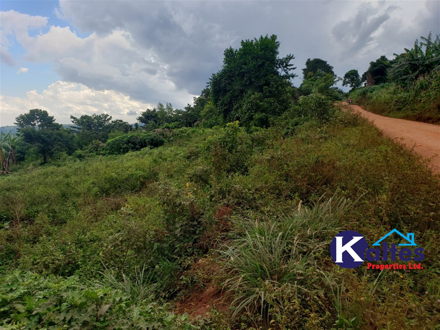 Agricultural Land for sale in Nkokonjeru Mukono