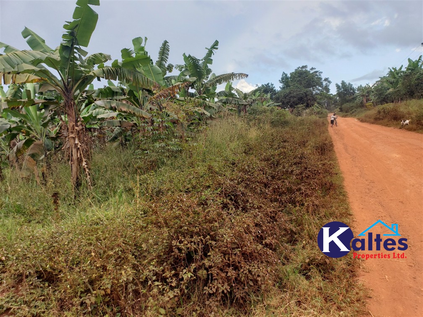 Agricultural Land for sale in Nkokonjeru Mukono