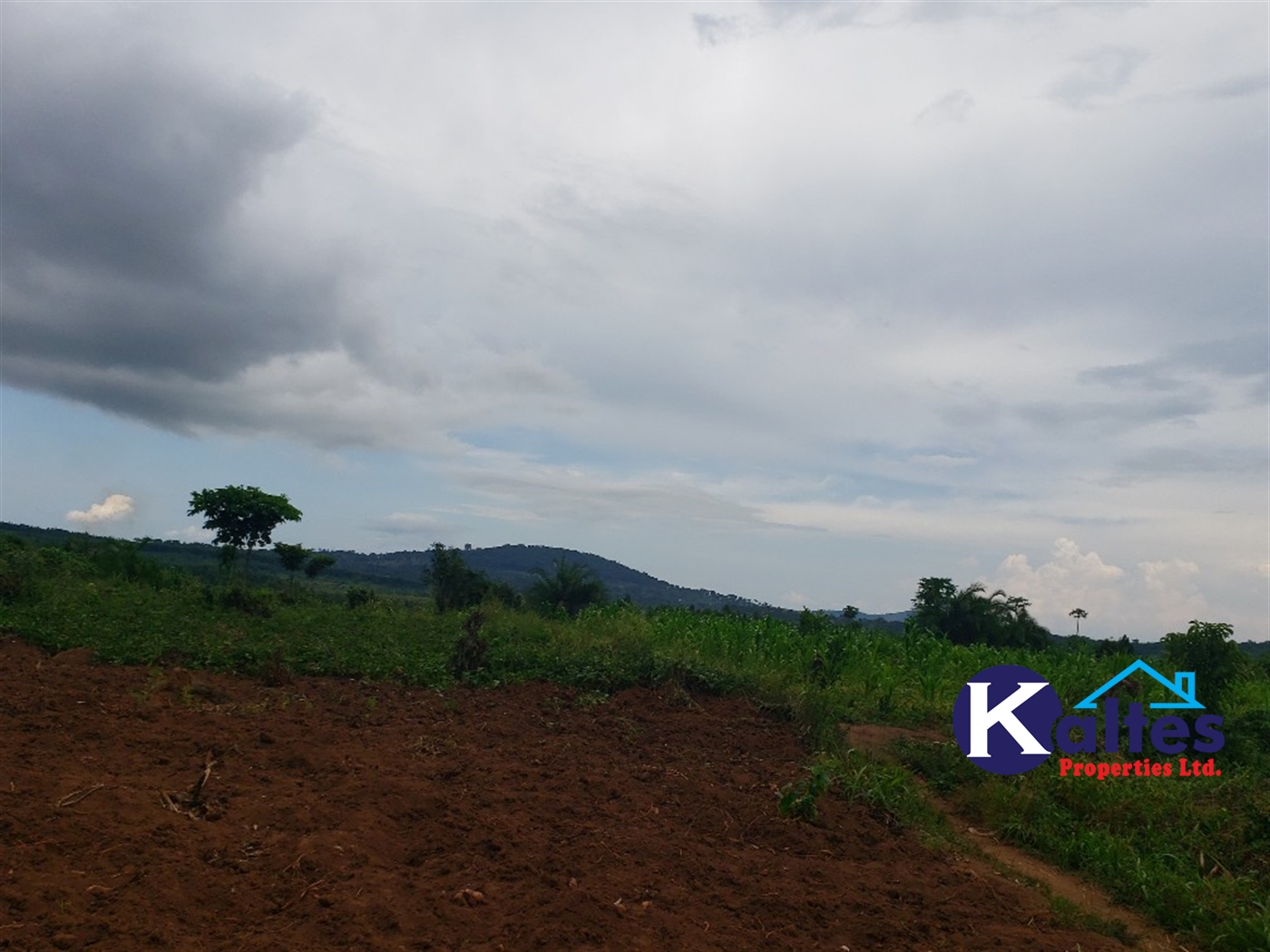 Agricultural Land for sale in Nkokonjeru Mukono