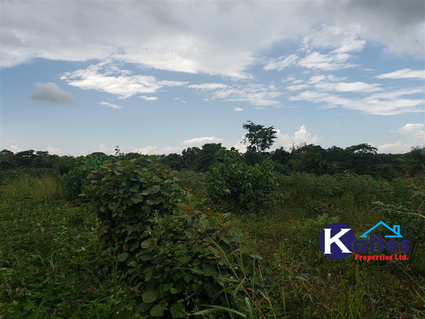 Agricultural Land for sale in Nkokonjeru Mukono