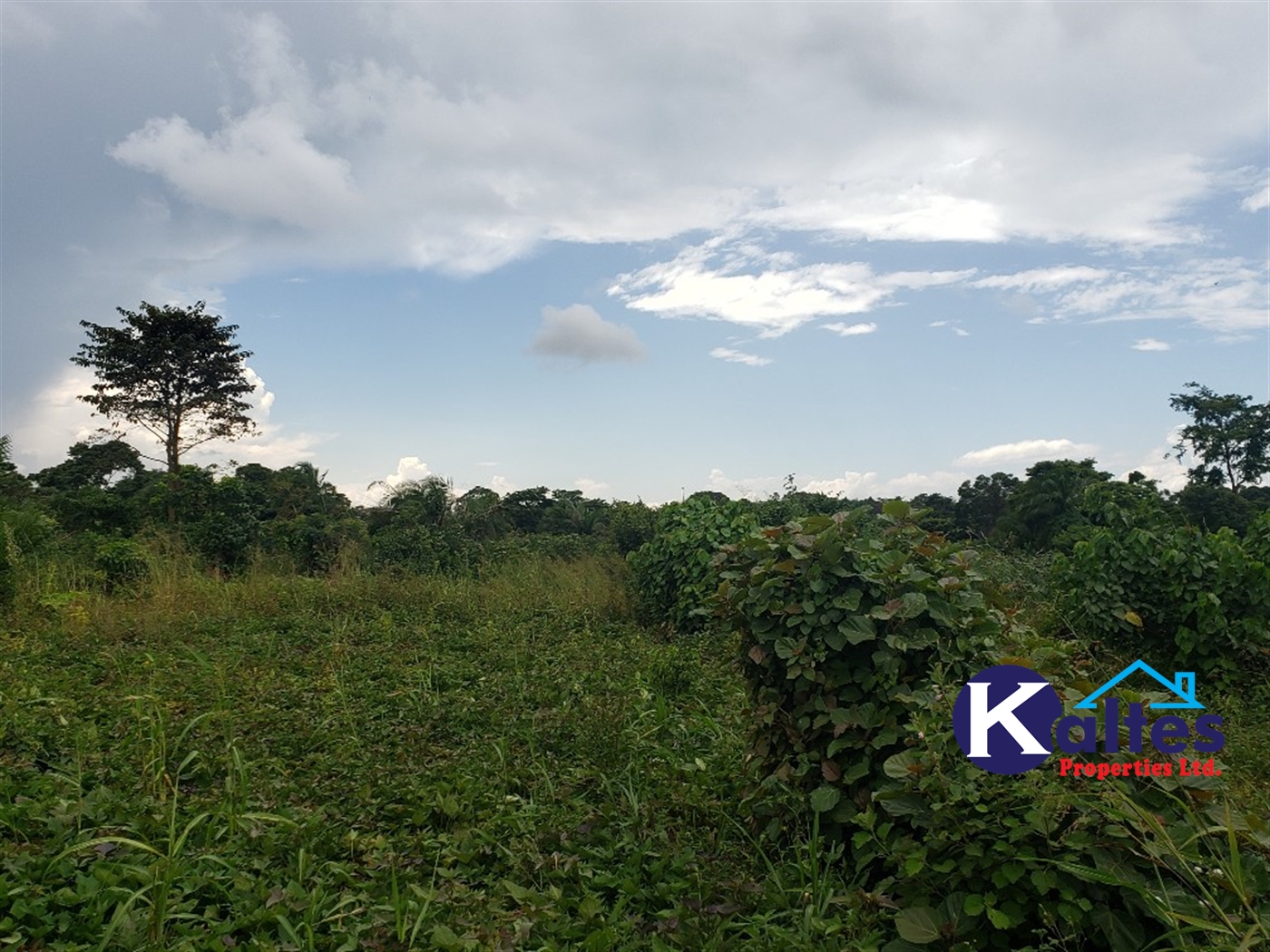 Agricultural Land for sale in Nkokonjeru Mukono