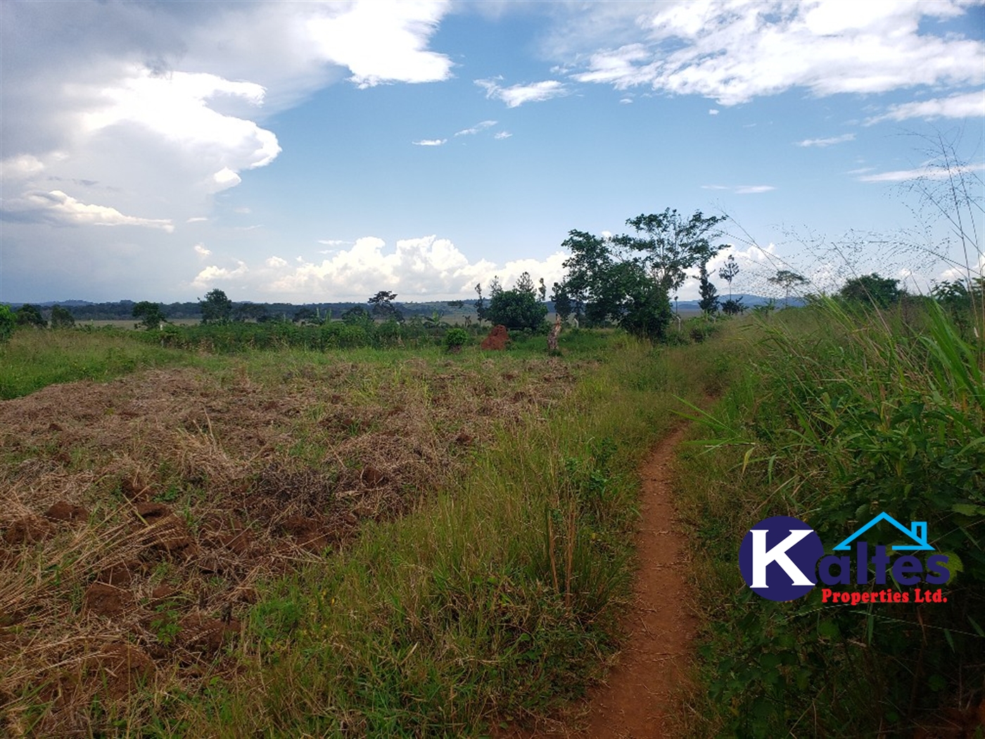 Agricultural Land for sale in Nkokonjeru Mukono