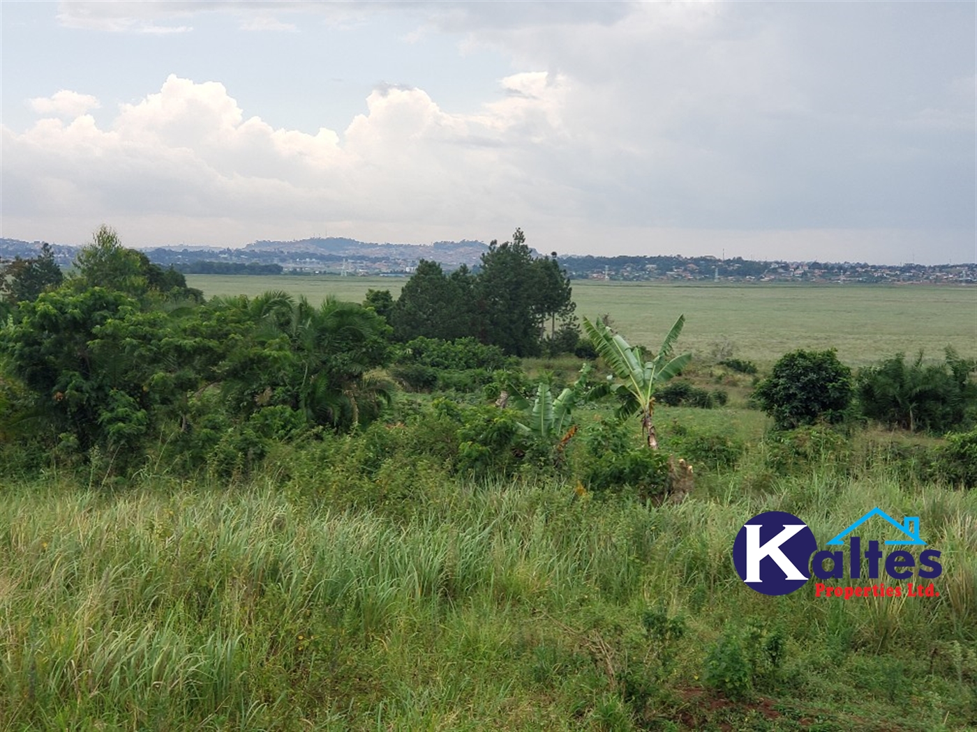 Agricultural Land for sale in Nkokonjeru Mukono