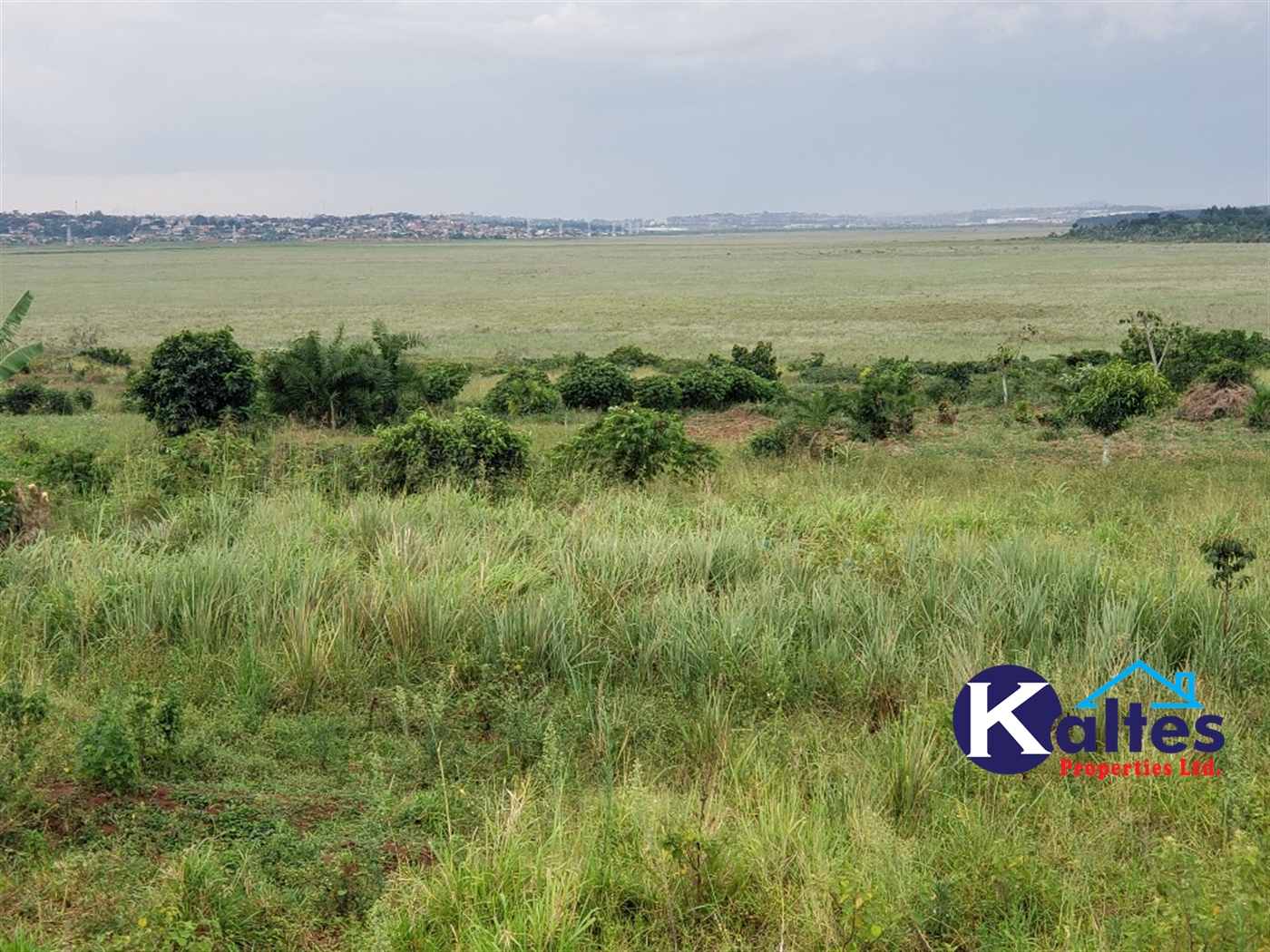 Agricultural Land for sale in Nkokonjeru Mukono