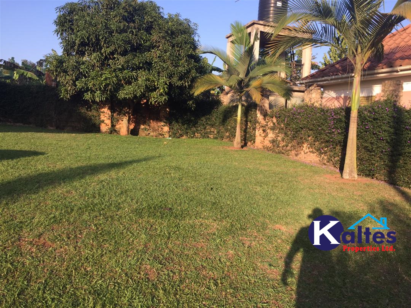 Storeyed house for rent in Nabuuti Mukono