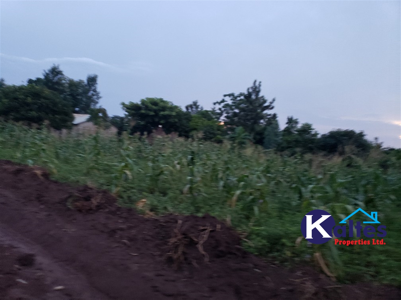 Agricultural Land for sale in Nkokonjeru Mukono