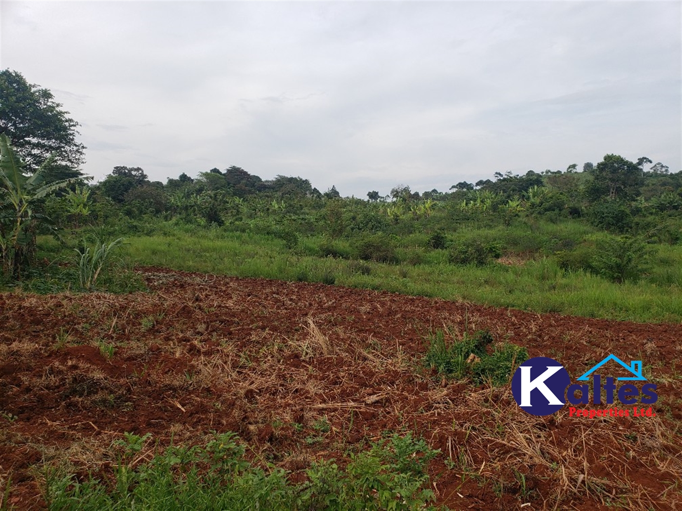 Agricultural Land for sale in Nkokonjeru Mukono