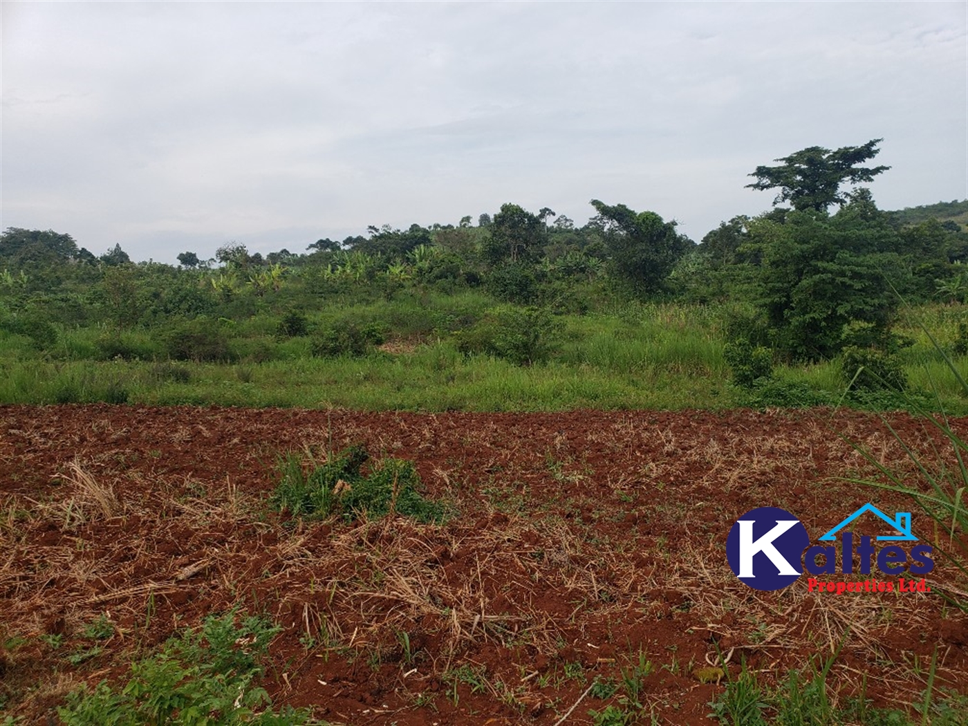 Agricultural Land for sale in Nkokonjeru Mukono