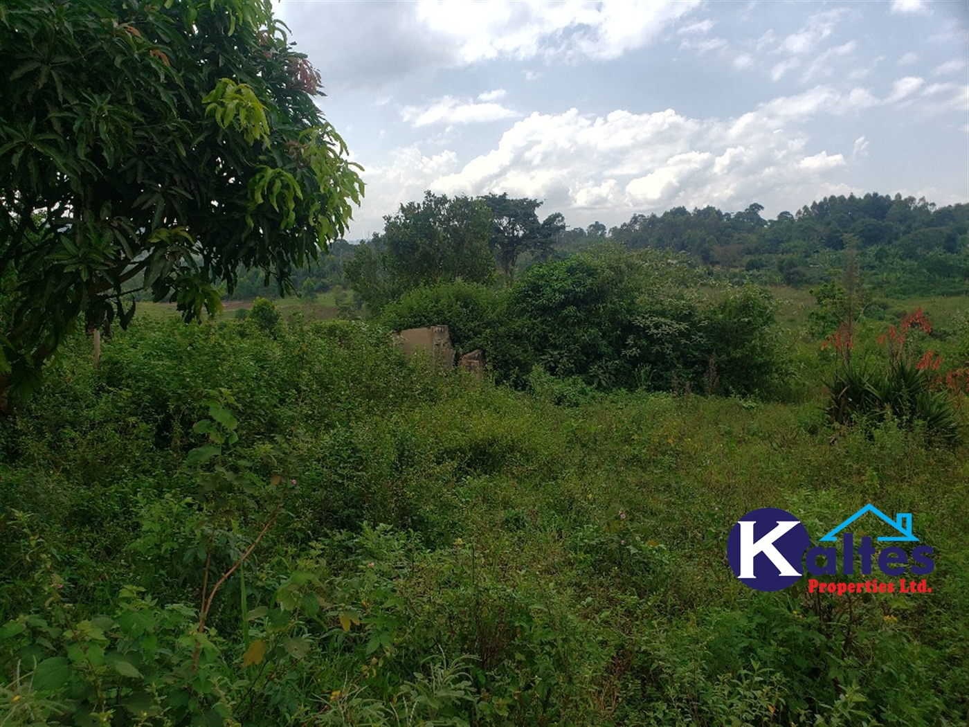 Agricultural Land for sale in Nkokonjeru Mukono