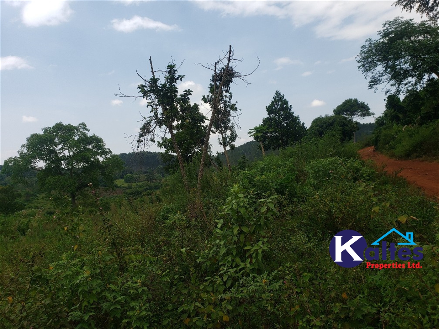 Agricultural Land for sale in Nkokonjeru Mukono