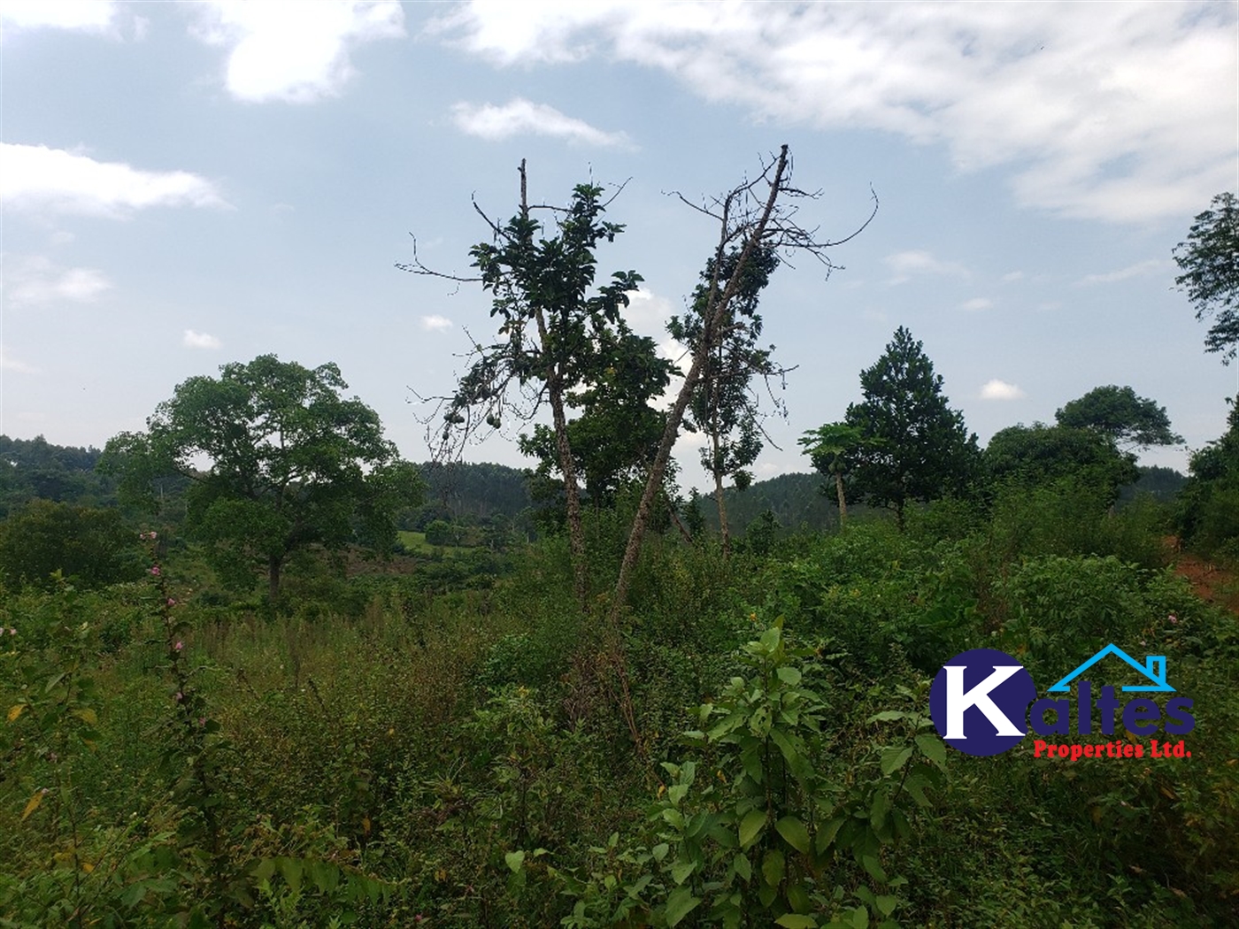 Agricultural Land for sale in Nkokonjeru Mukono