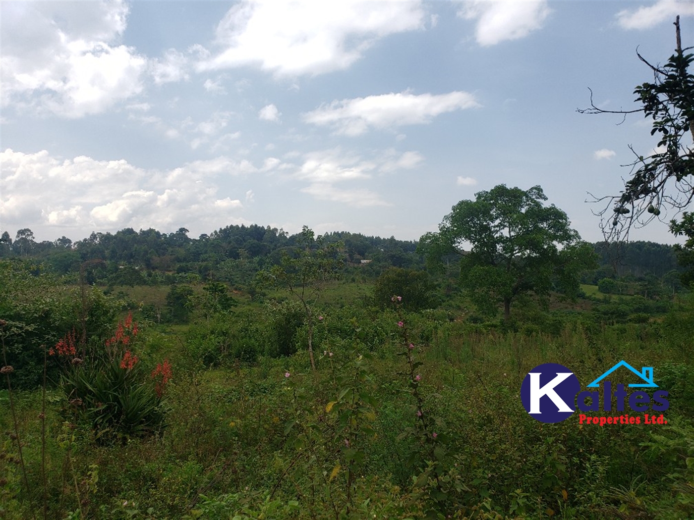 Agricultural Land for sale in Nkokonjeru Mukono