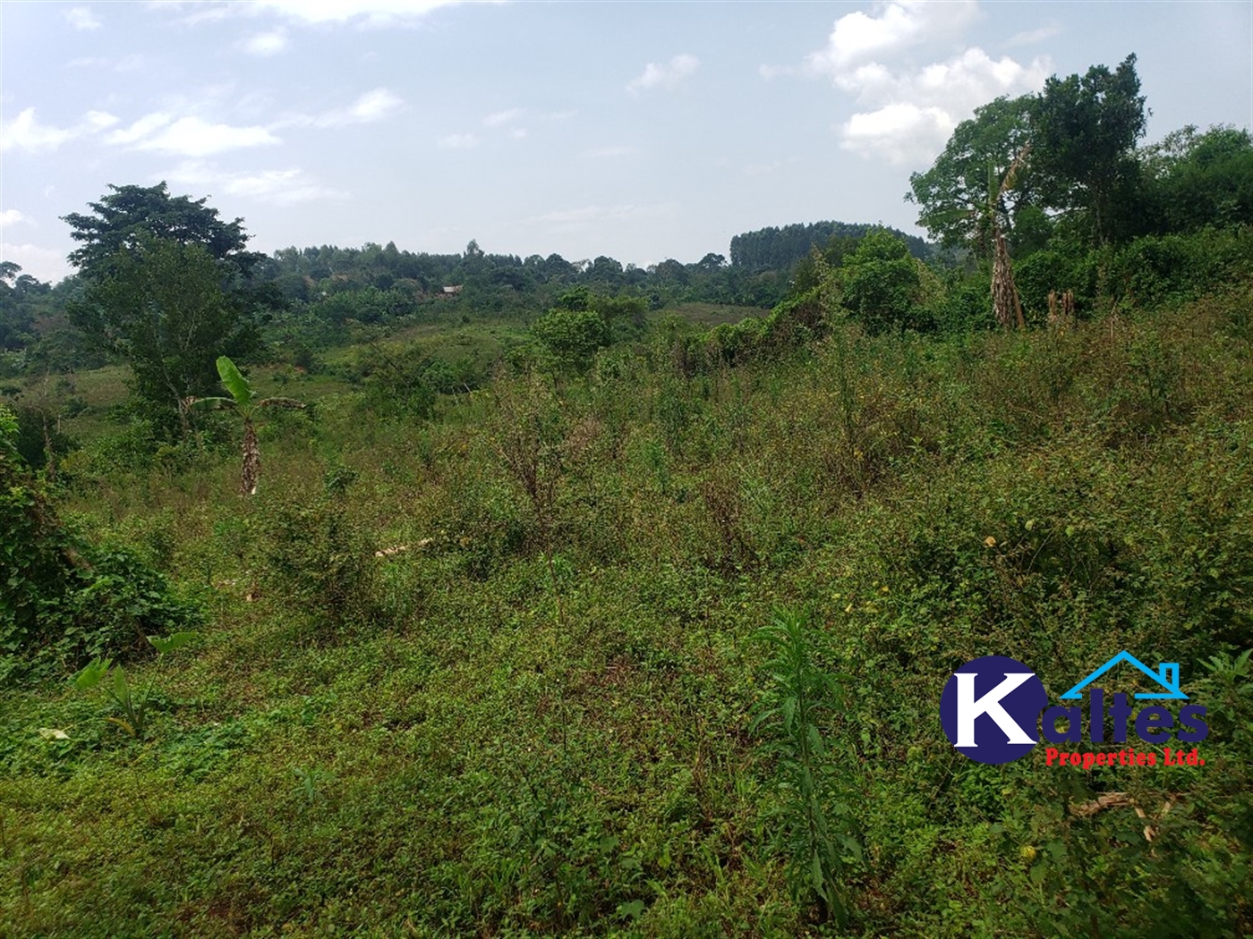 Agricultural Land for sale in Nkokonjeru Mukono