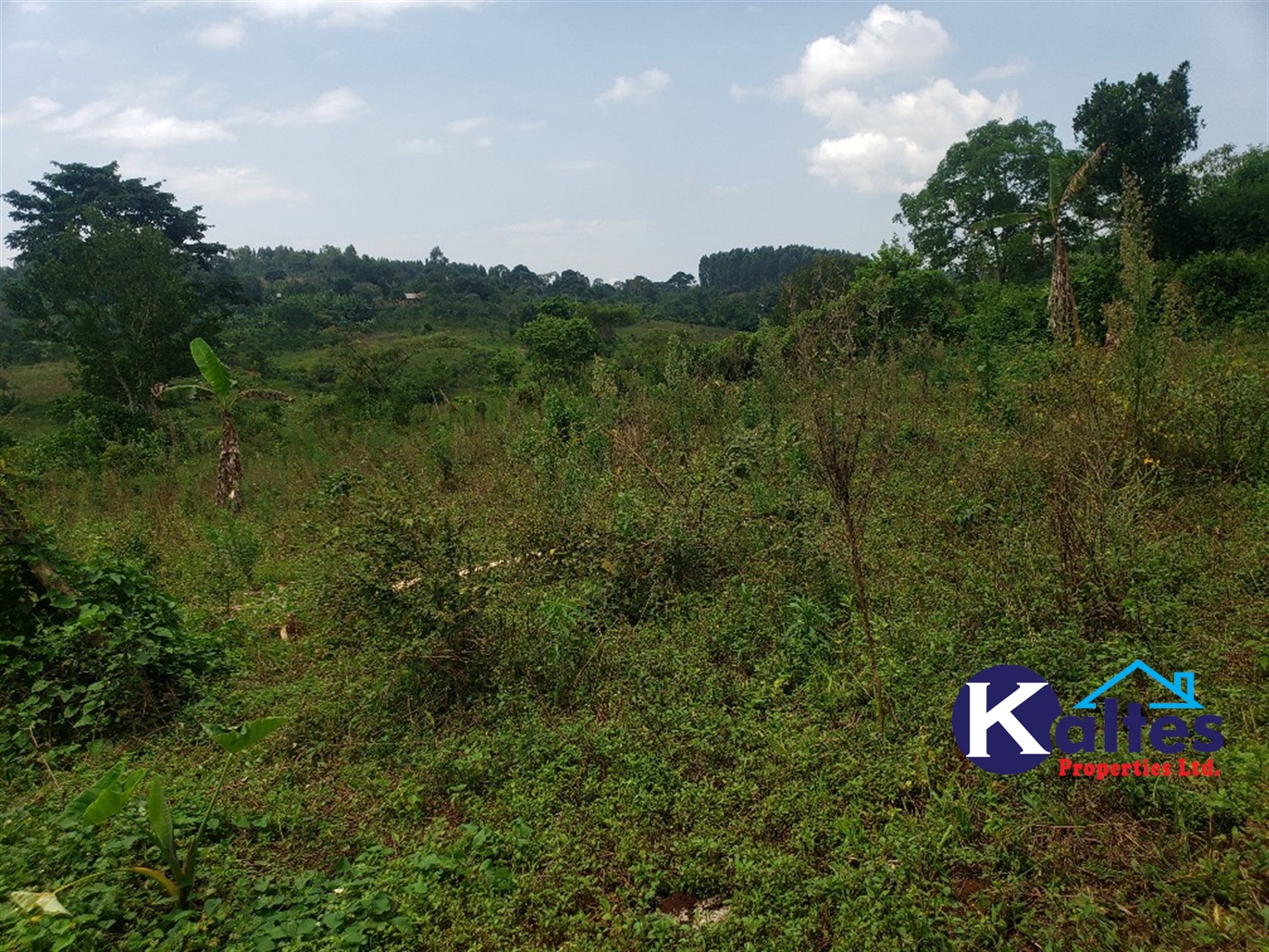 Agricultural Land for sale in Nkokonjeru Mukono