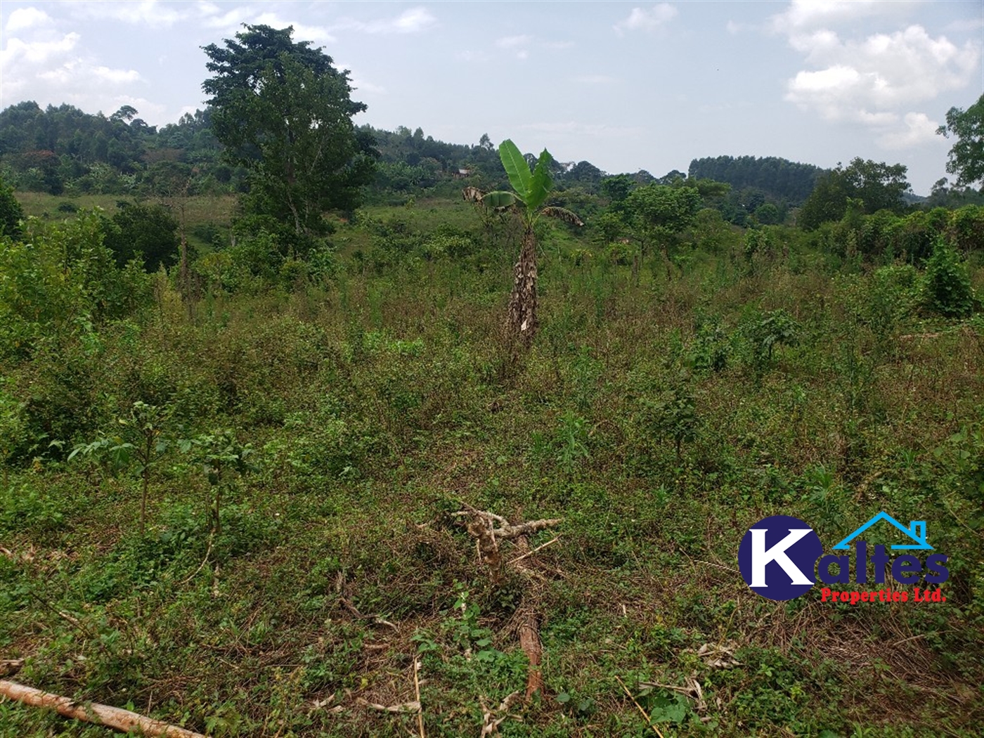 Agricultural Land for sale in Nkokonjeru Mukono