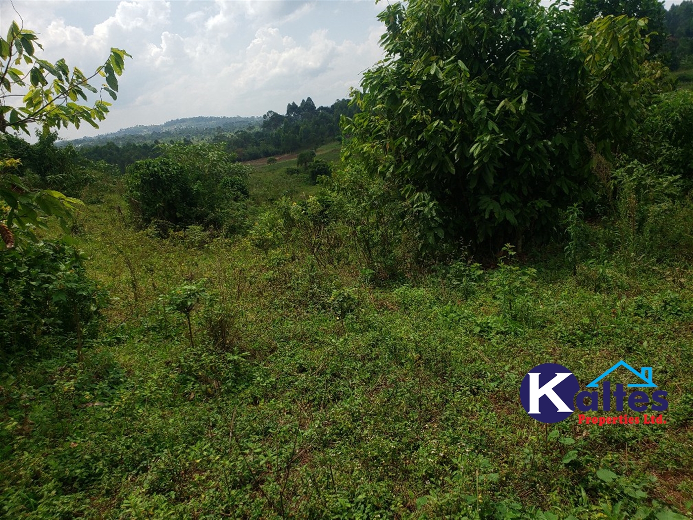 Agricultural Land for sale in Nkokonjeru Mukono