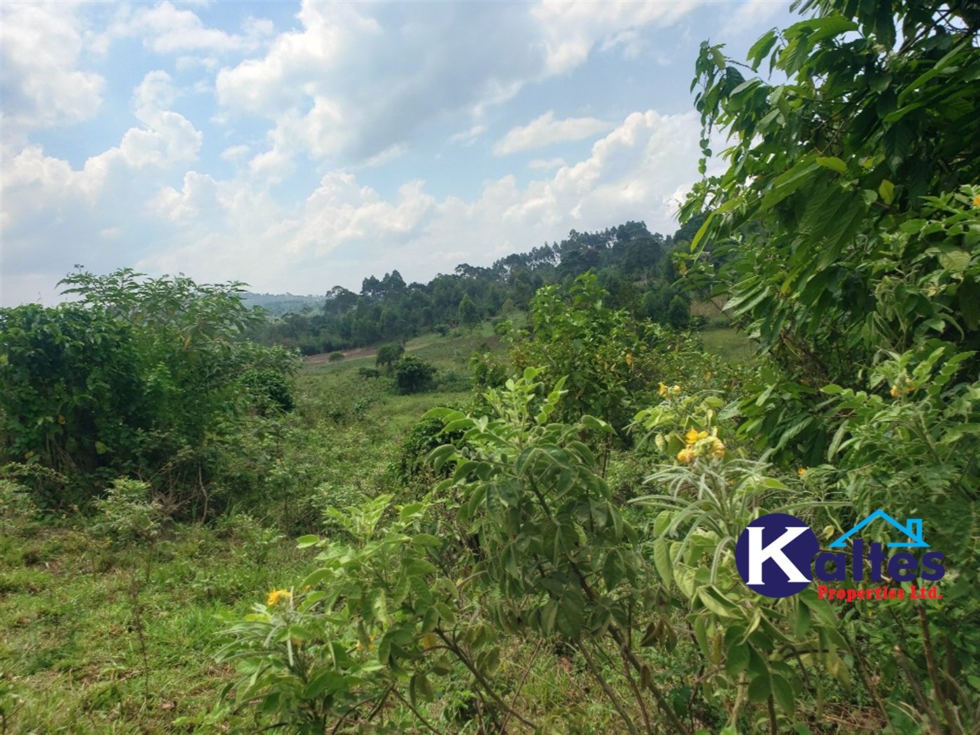 Agricultural Land for sale in Nkokonjeru Mukono