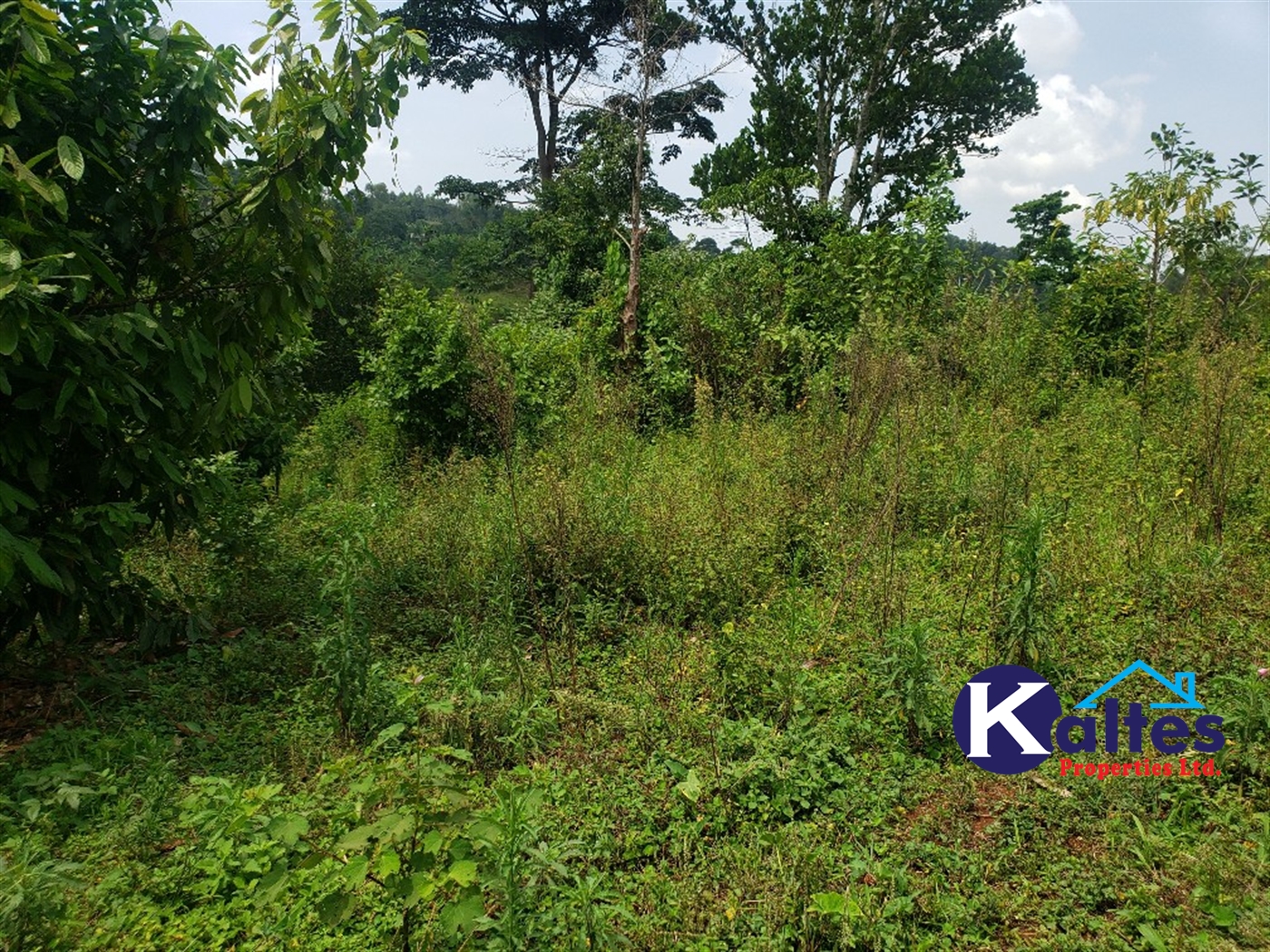 Agricultural Land for sale in Nkokonjeru Mukono