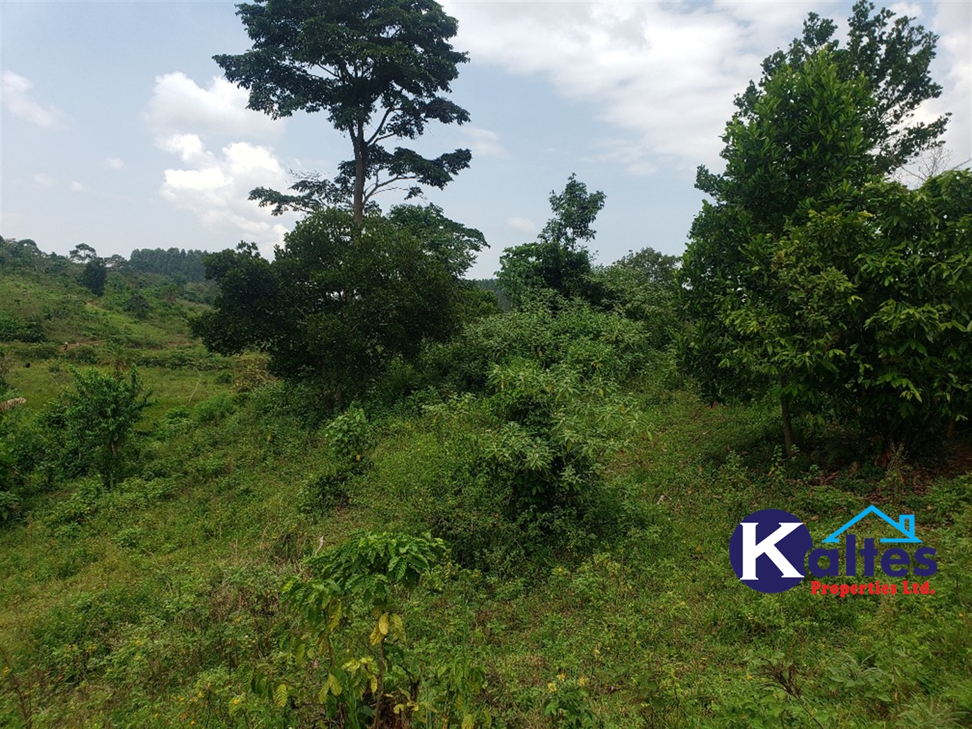 Agricultural Land for sale in Nkokonjeru Mukono