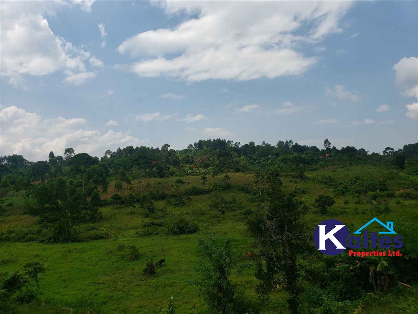 Agricultural Land for sale in Nkokonjeru Mukono