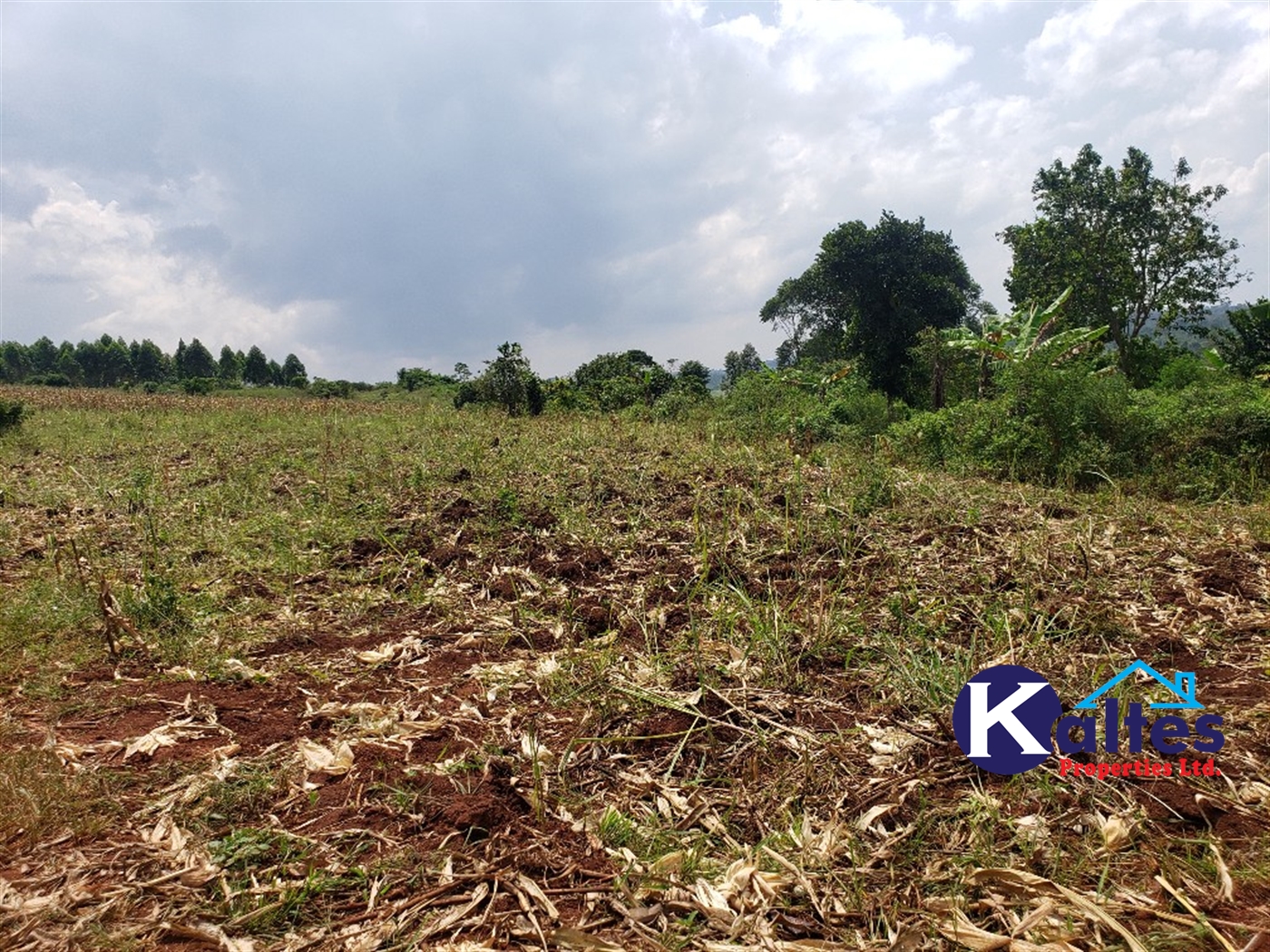 Agricultural Land for sale in Nkokonjeru Mukono