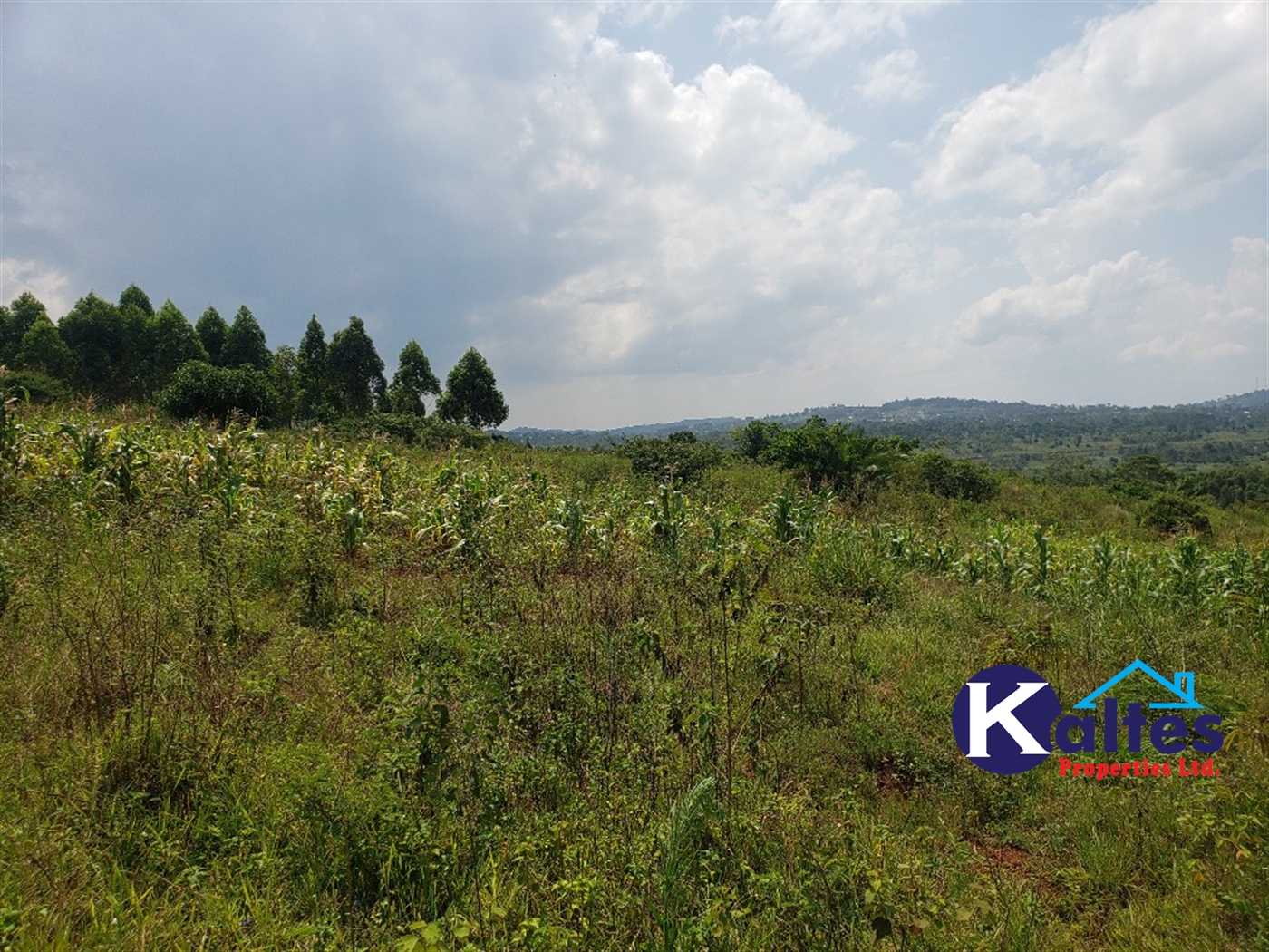 Agricultural Land for sale in Nkokonjeru Mukono