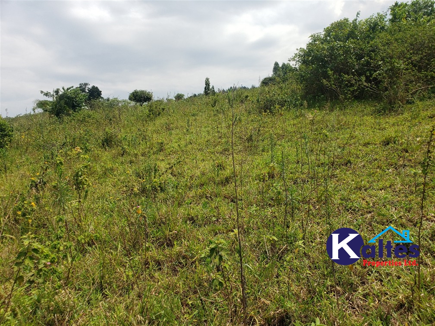 Agricultural Land for sale in Nkokonjeru Mukono