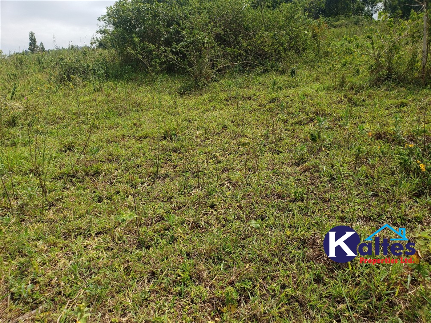 Agricultural Land for sale in Nkokonjeru Mukono