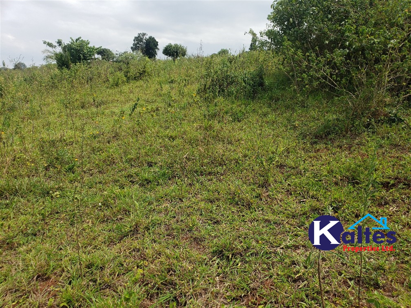 Agricultural Land for sale in Nkokonjeru Mukono