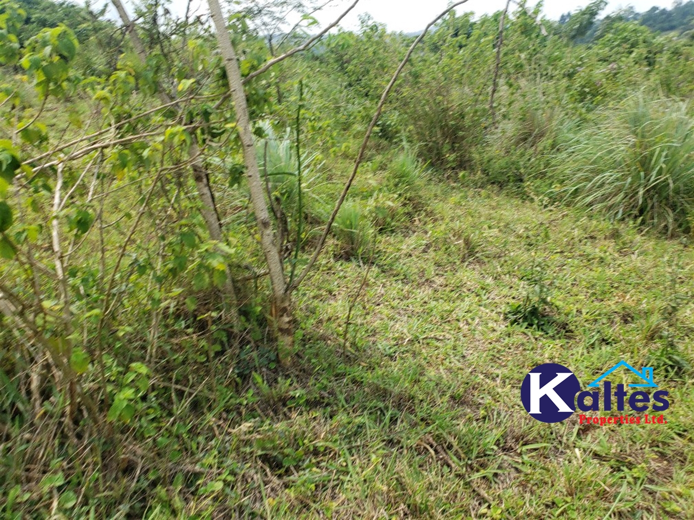 Agricultural Land for sale in Nkokonjeru Mukono