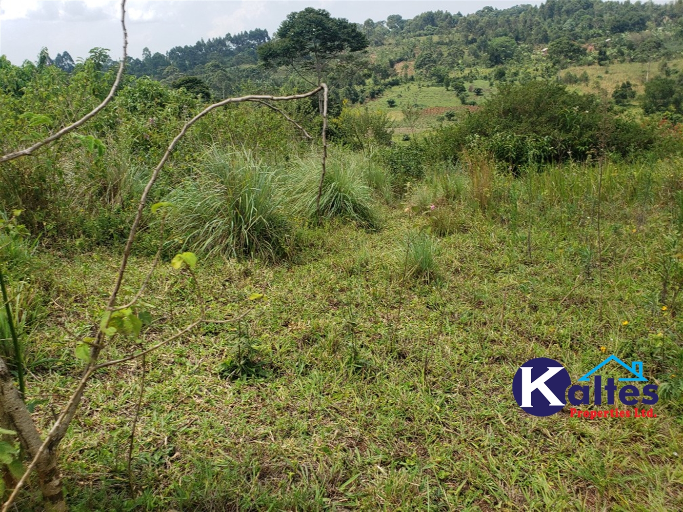 Agricultural Land for sale in Nkokonjeru Mukono