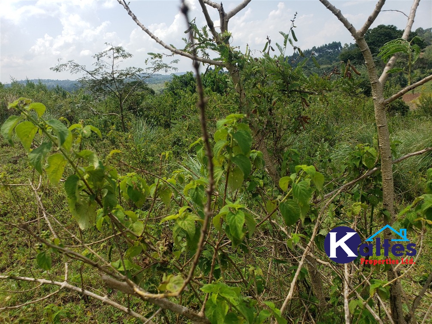 Agricultural Land for sale in Nkokonjeru Mukono