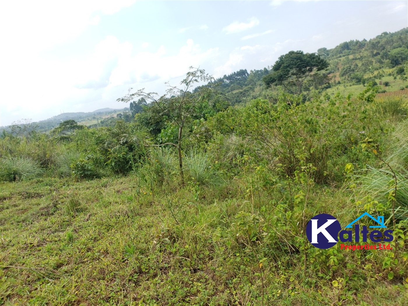 Agricultural Land for sale in Nkokonjeru Mukono