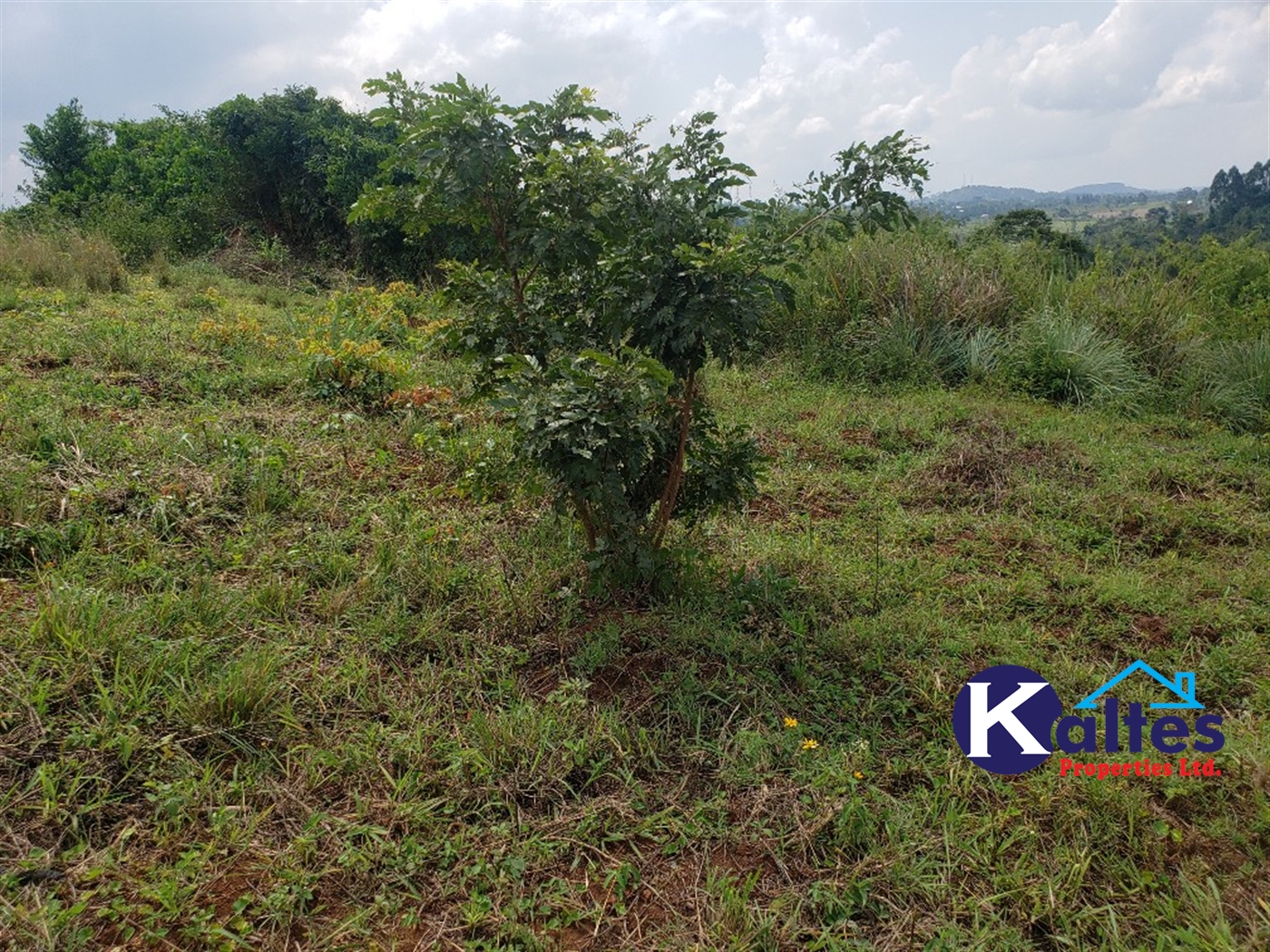 Agricultural Land for sale in Nkokonjeru Mukono