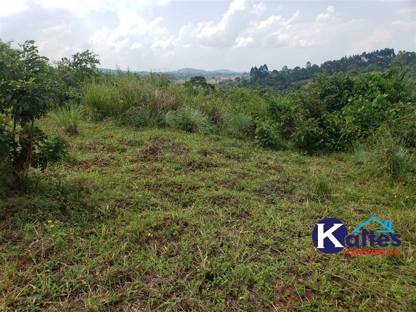 Agricultural Land for sale in Nkokonjeru Mukono