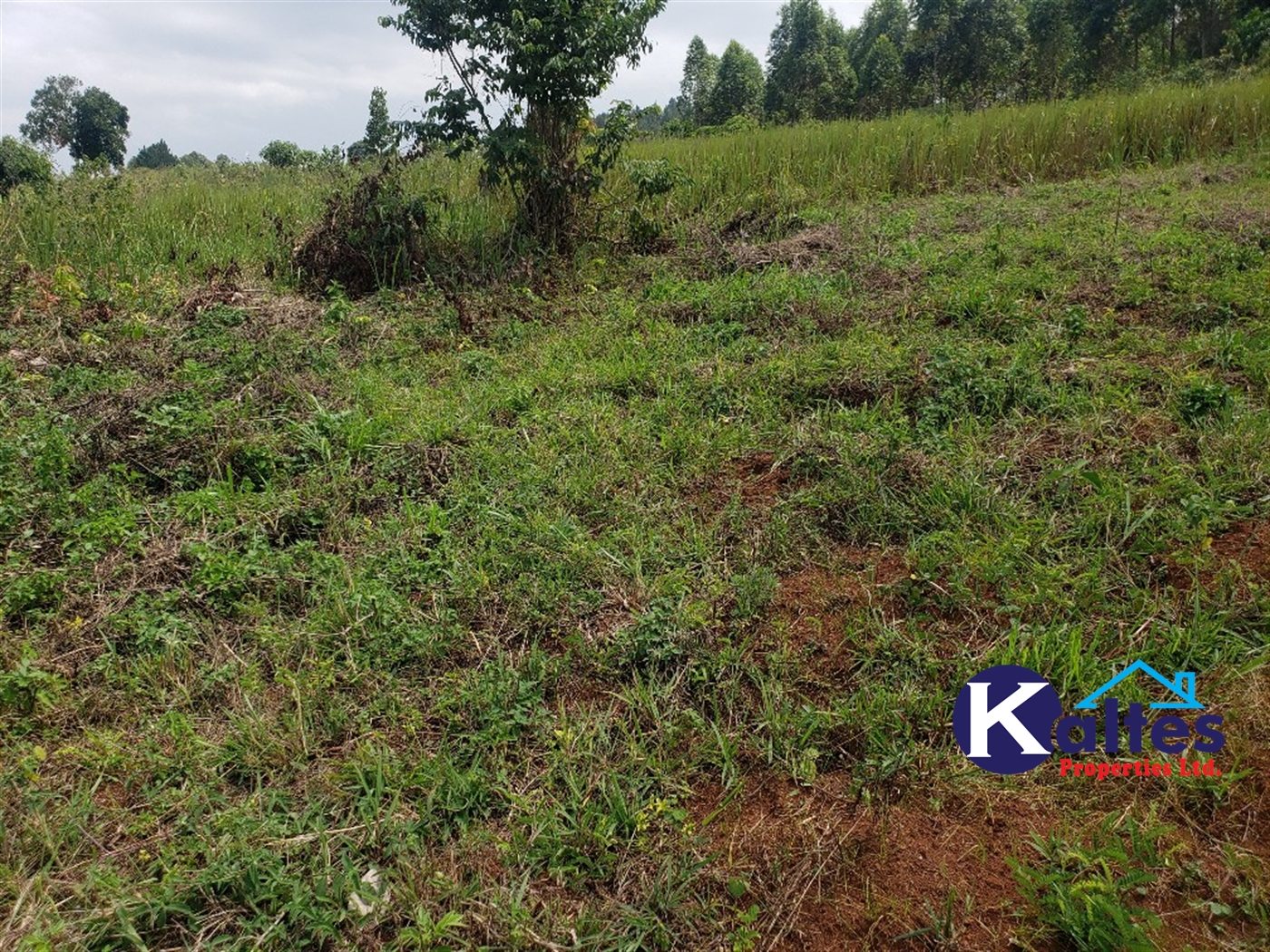 Agricultural Land for sale in Nkokonjeru Mukono