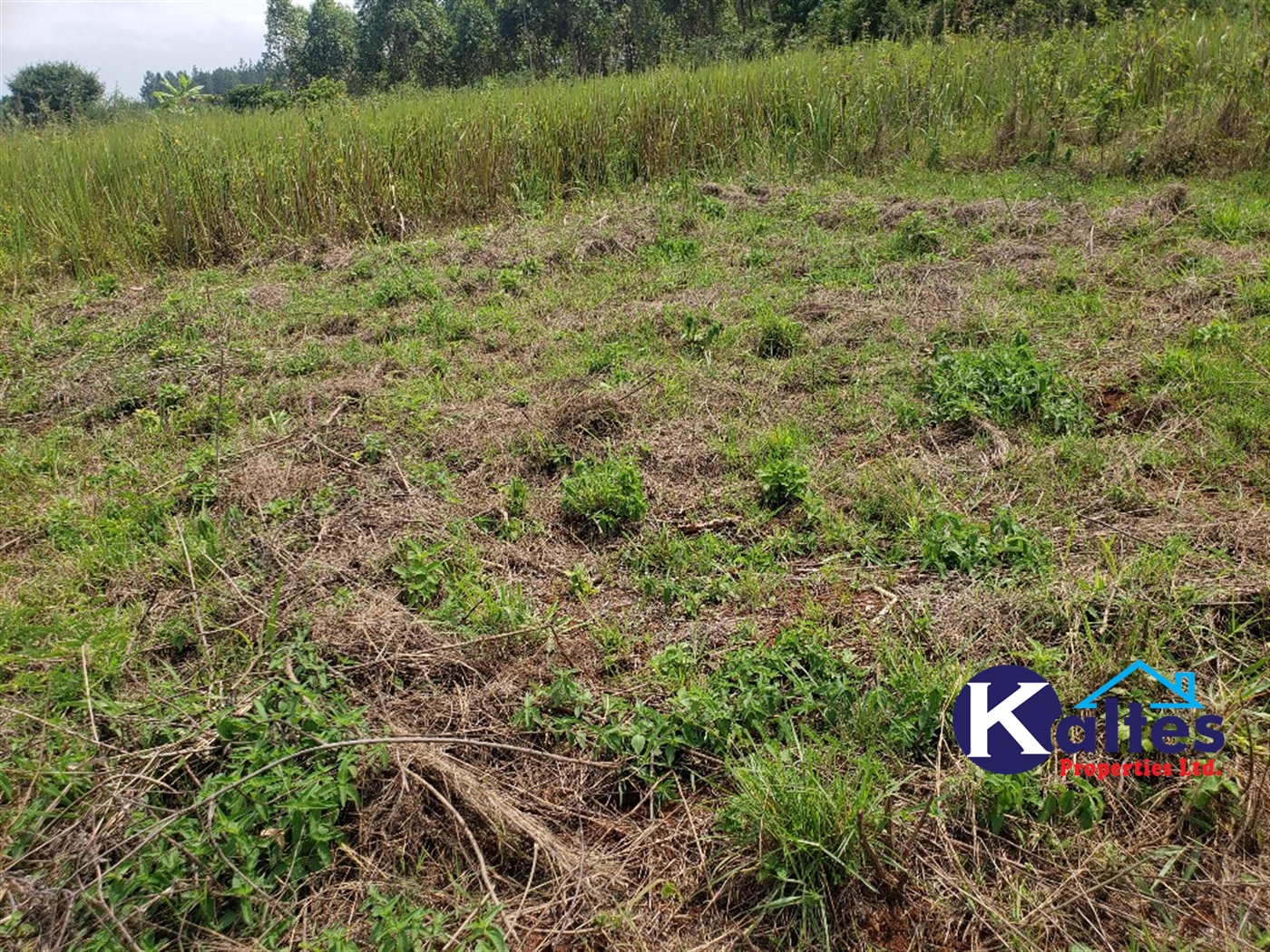 Agricultural Land for sale in Nkokonjeru Mukono