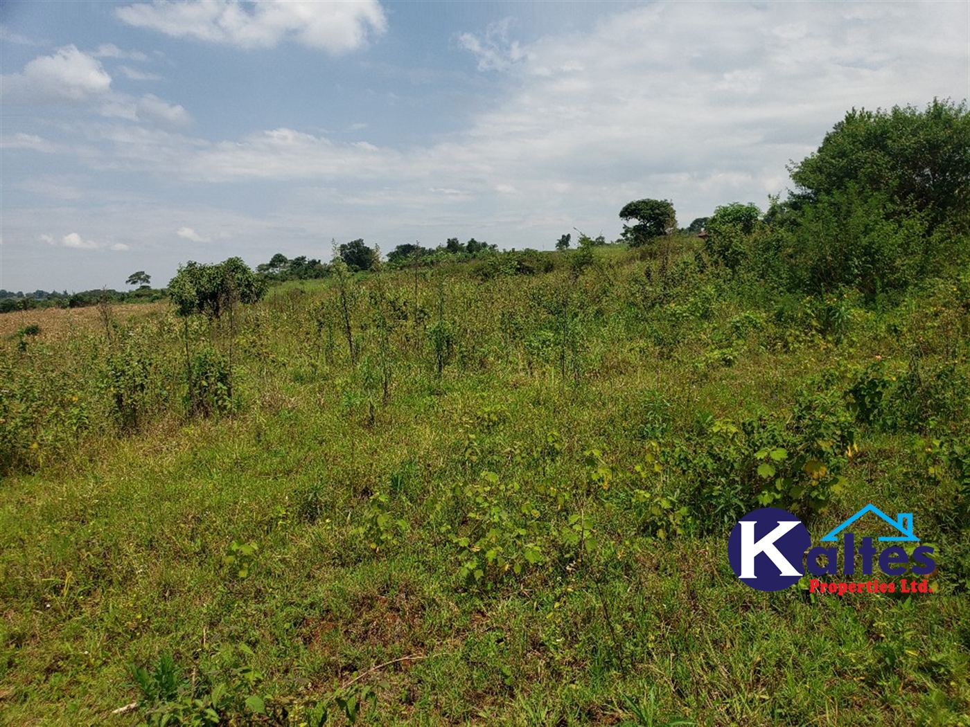 Agricultural Land for sale in Nkokonjeru Mukono