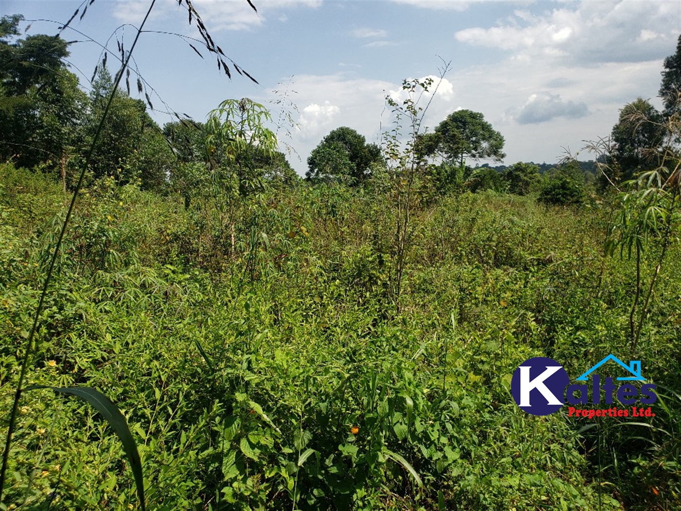 Agricultural Land for sale in Nkokonjeru Mukono