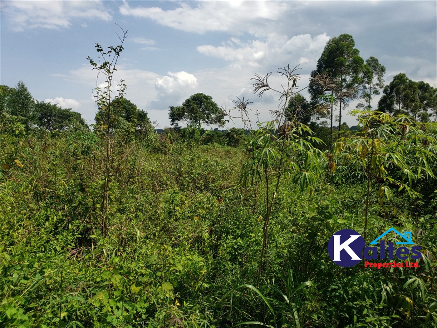 Agricultural Land for sale in Nkokonjeru Mukono