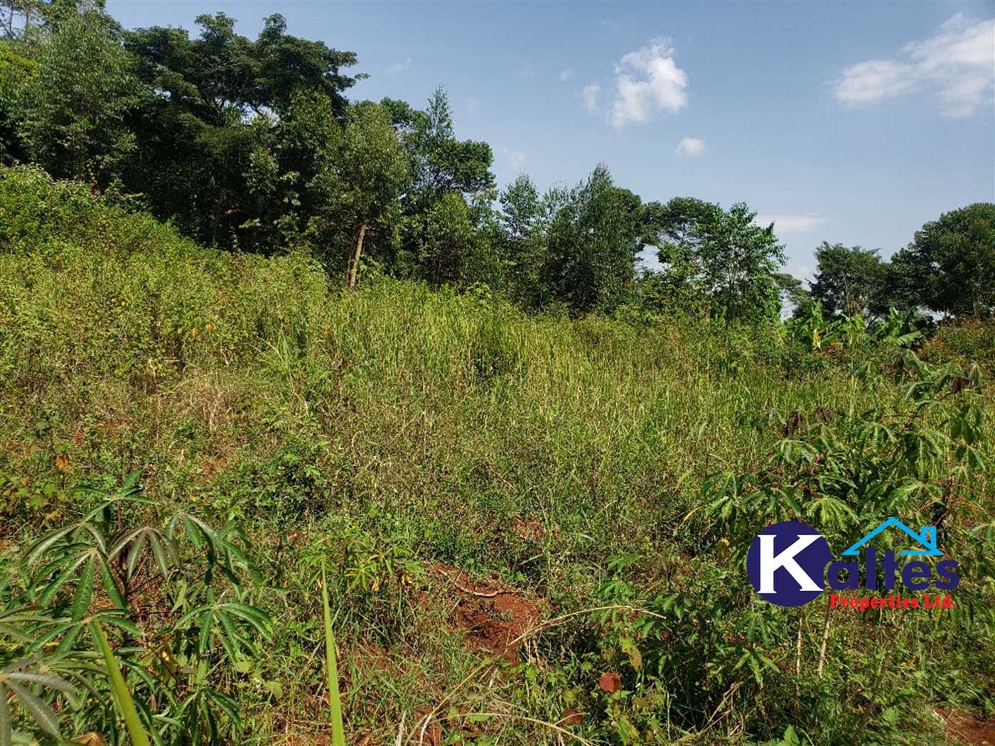 Agricultural Land for sale in Nkokonjeru Mukono