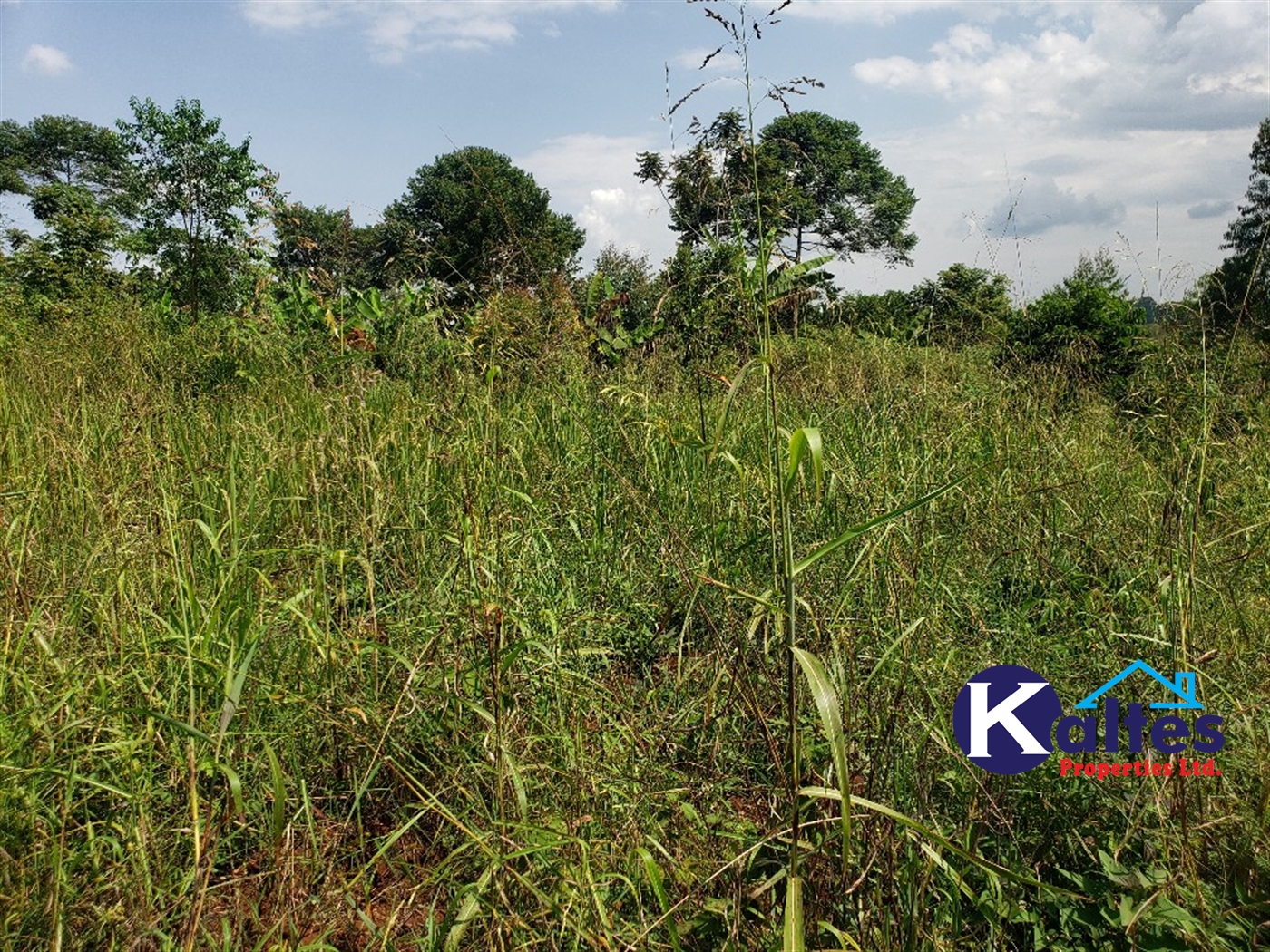 Agricultural Land for sale in Nkokonjeru Mukono