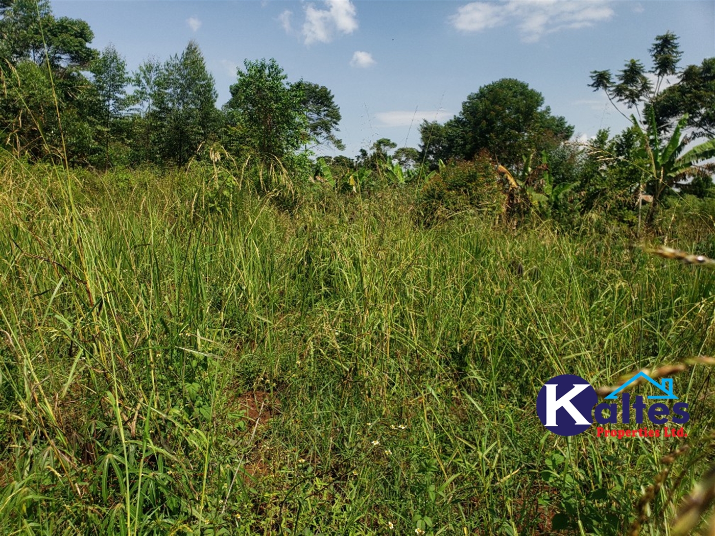 Agricultural Land for sale in Nkokonjeru Mukono