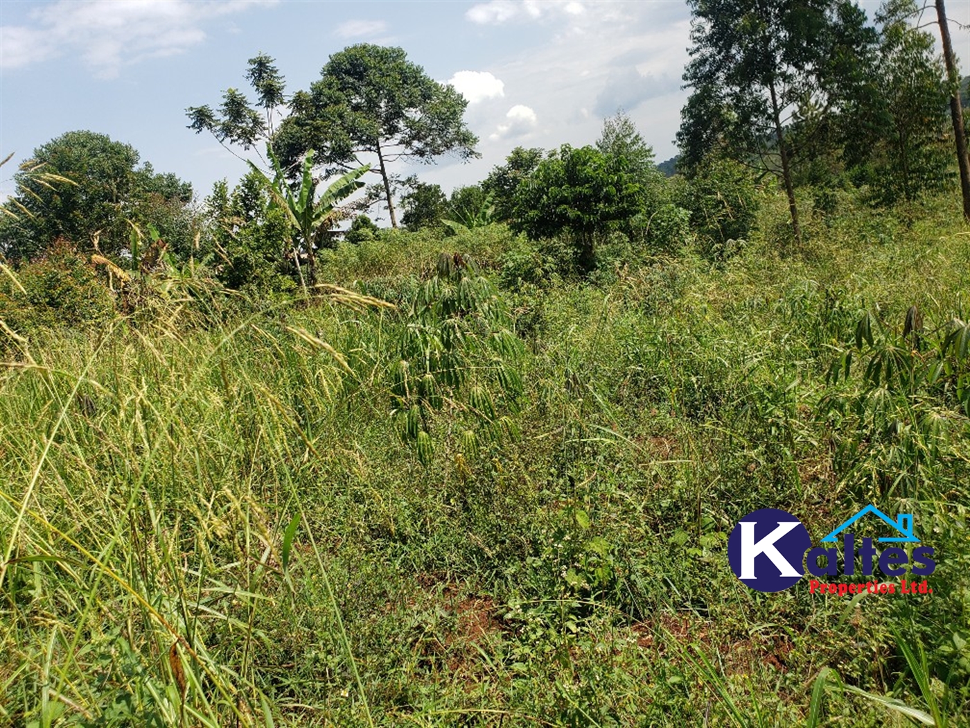 Agricultural Land for sale in Nkokonjeru Mukono