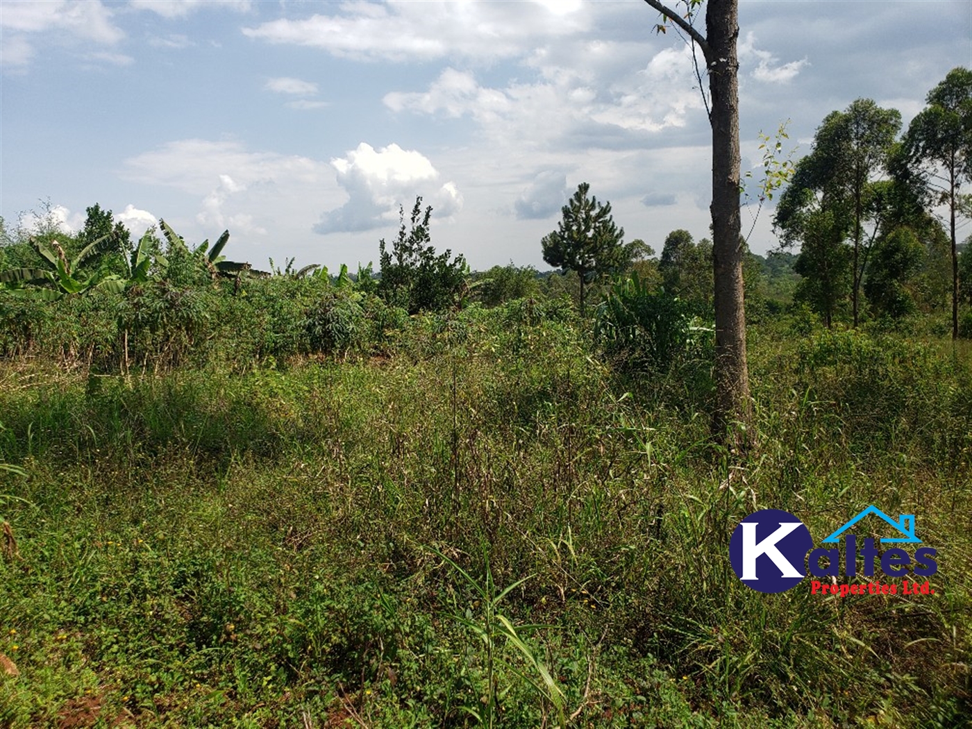 Agricultural Land for sale in Nkokonjeru Mukono