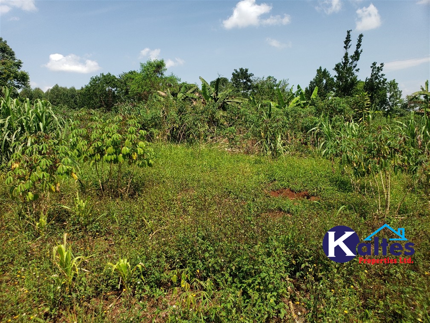 Agricultural Land for sale in Nkokonjeru Mukono