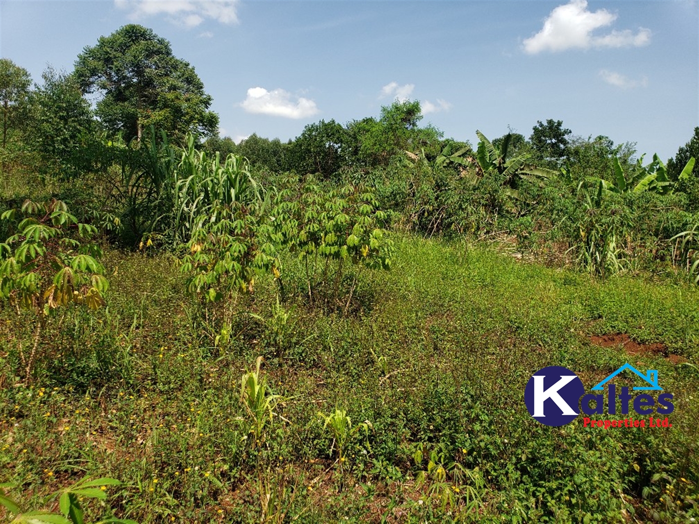 Agricultural Land for sale in Nkokonjeru Mukono