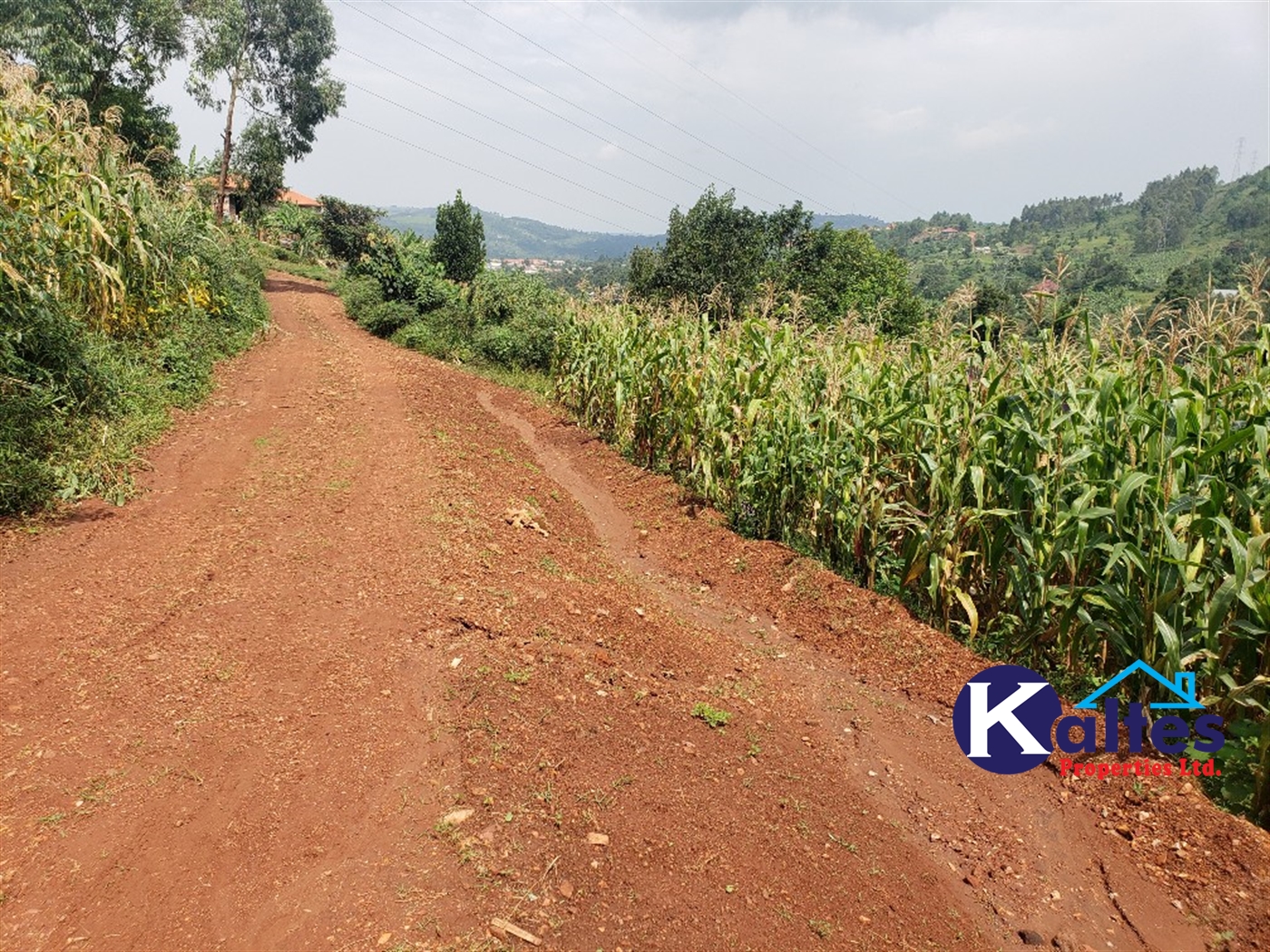 Agricultural Land for sale in Nkokonjeru Mukono