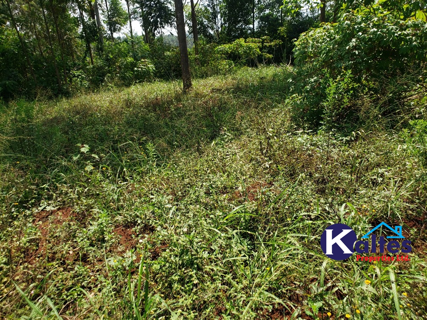 Agricultural Land for sale in Buyikwe Buyikwe