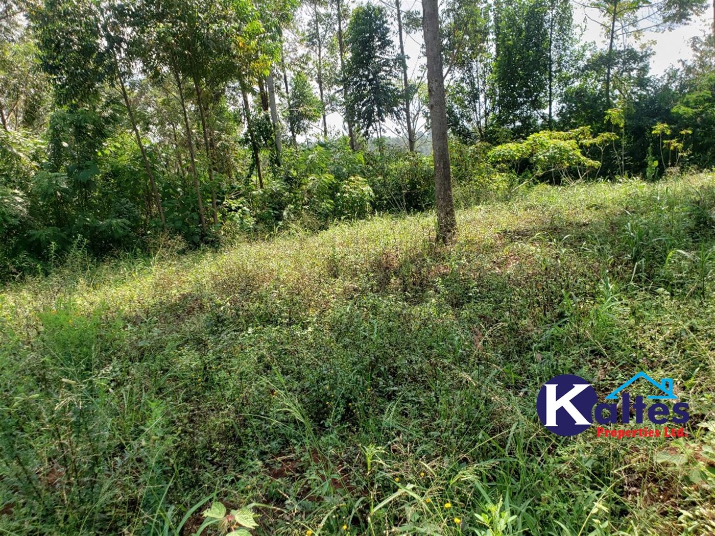 Agricultural Land for sale in Buyikwe Buyikwe